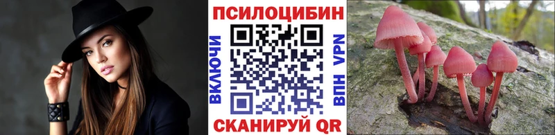 продажа наркотиков  гидра ссылки  Псилоцибиновые грибы ЛСД  Тавда 